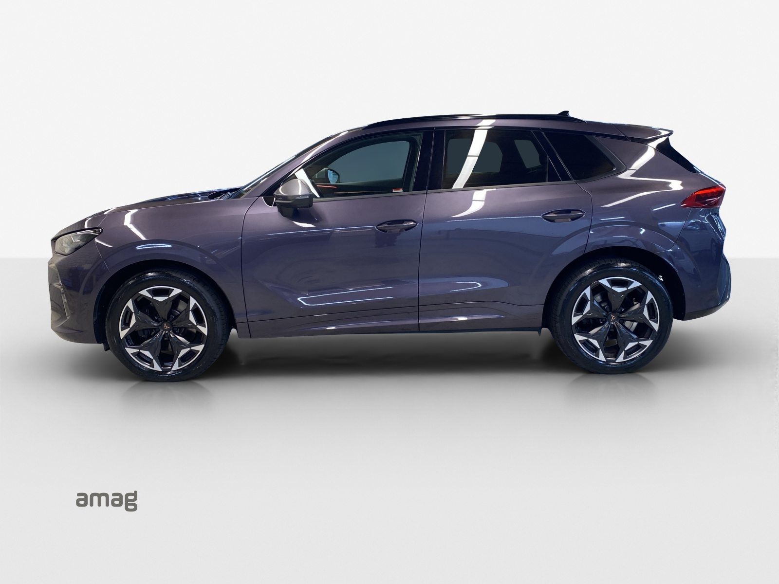 CUPRA TERRAMAR 4DRIVE, Benzina, Occasioni / Usate, Automatico - 2