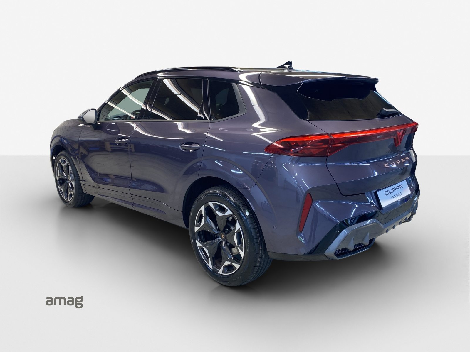 CUPRA TERRAMAR 4DRIVE, Benzina, Occasioni / Usate, Automatico - 3