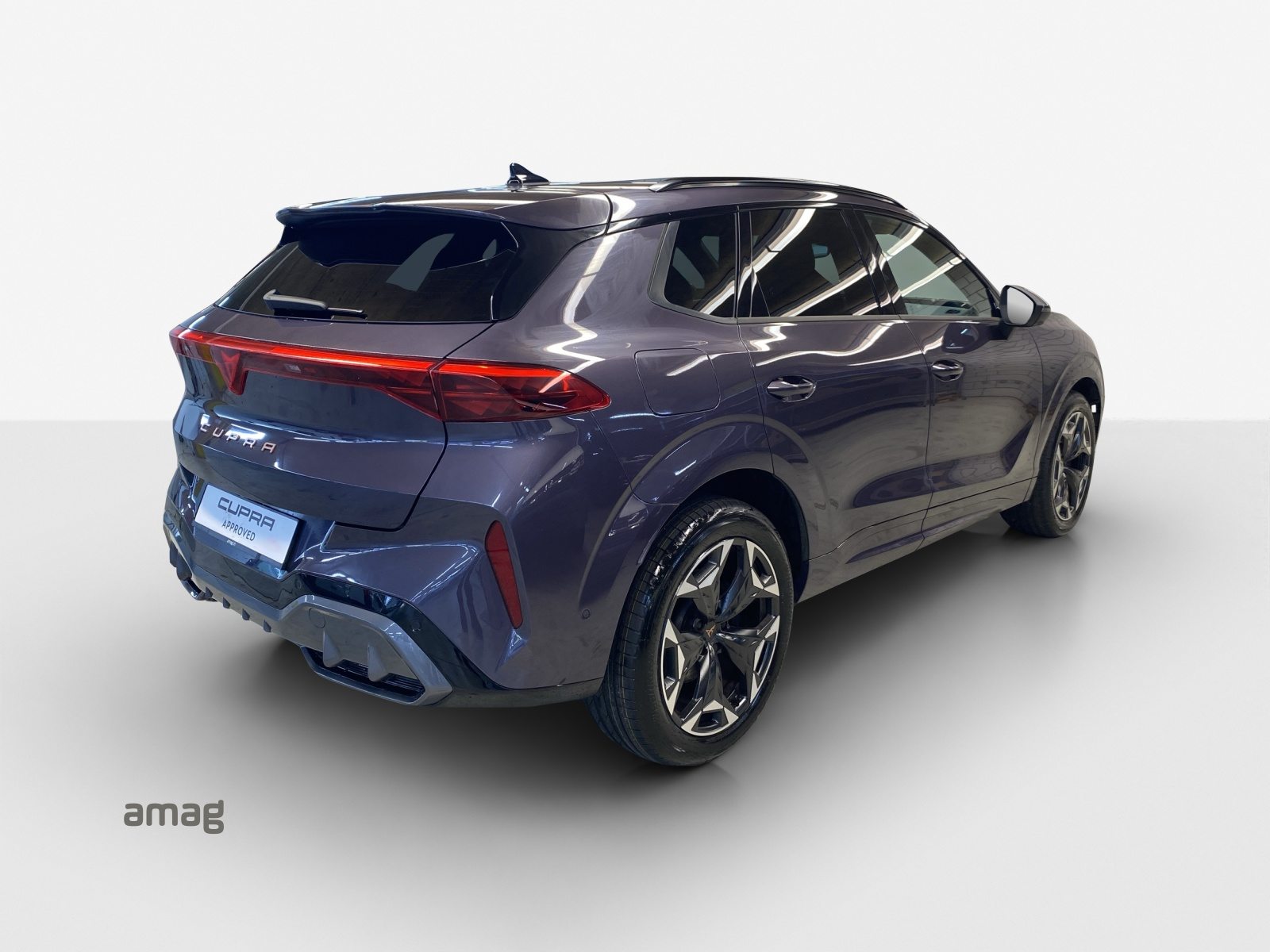 CUPRA TERRAMAR 4DRIVE, Benzina, Occasioni / Usate, Automatico - 5