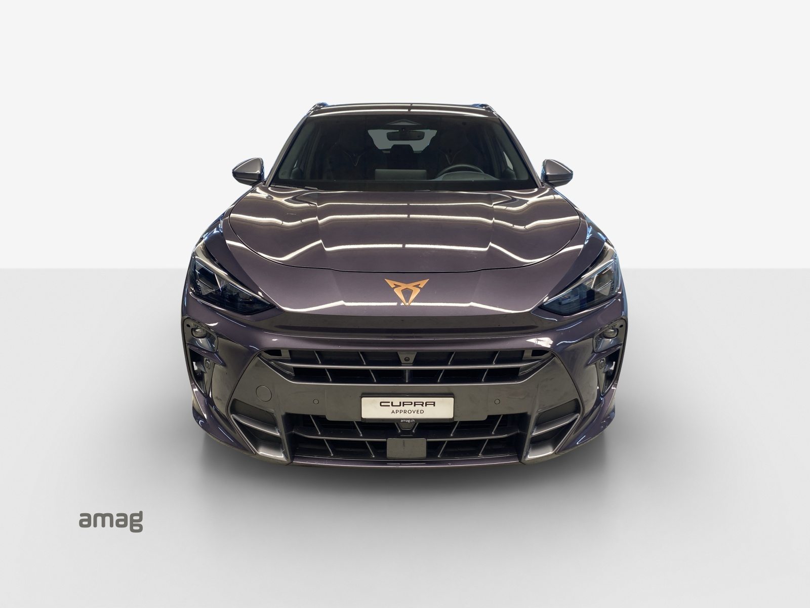 CUPRA TERRAMAR 4DRIVE, Benzina, Occasioni / Usate, Automatico - 7
