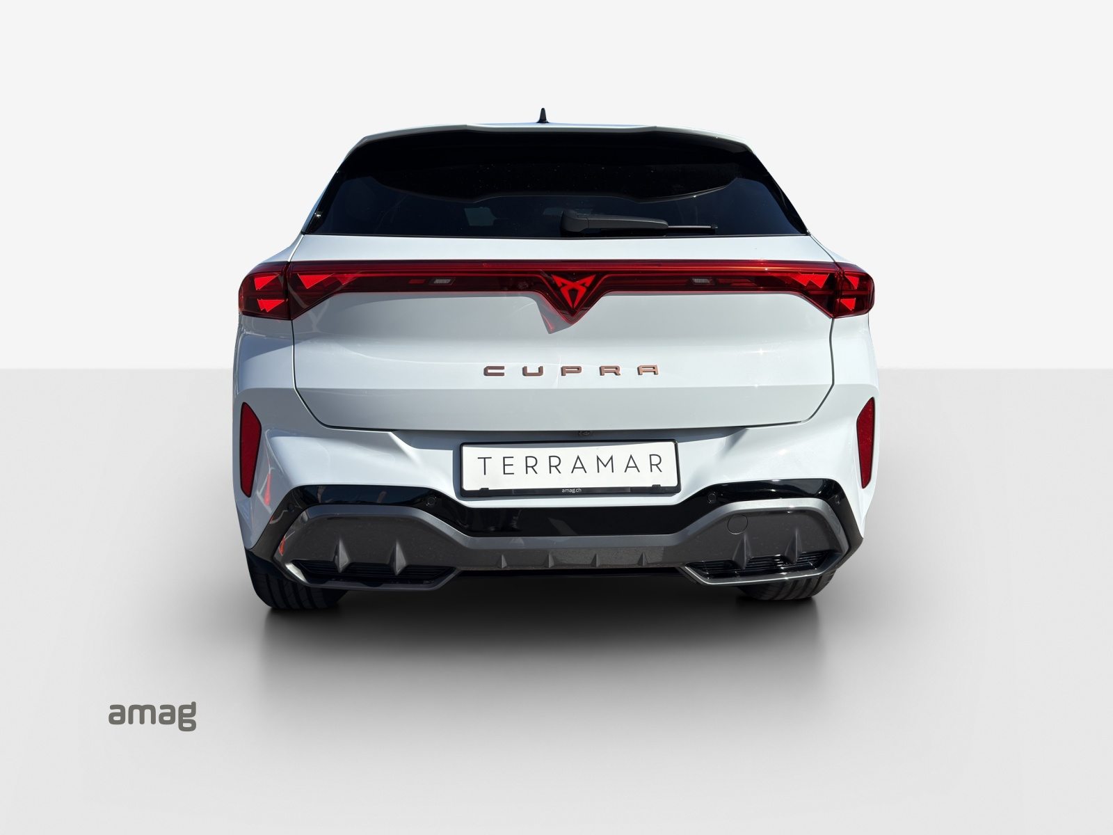 CUPRA TERRAMAR 4DRIVE PRIME EDITION, Benzina, Occasioni / Usate, Automatico - 4