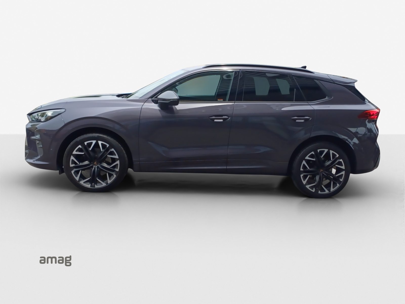 CUPRA TERRAMAR 4DRIVE, Benzina, Occasioni / Usate, Automatico - 2