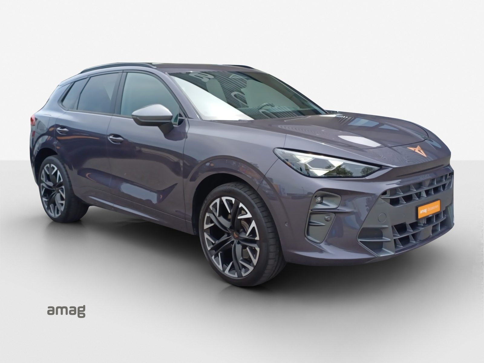 CUPRA TERRAMAR 4DRIVE, Benzina, Occasioni / Usate, Automatico - 6