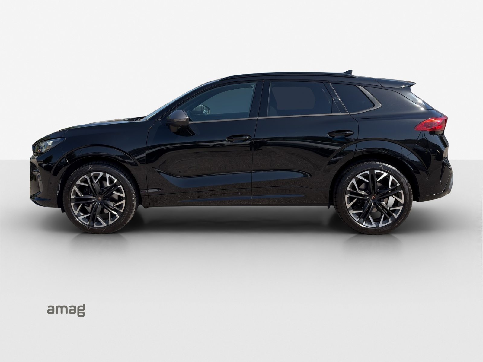 CUPRA TERRAMAR 4DRIVE, Benzina, Occasioni / Usate, Automatico - 2