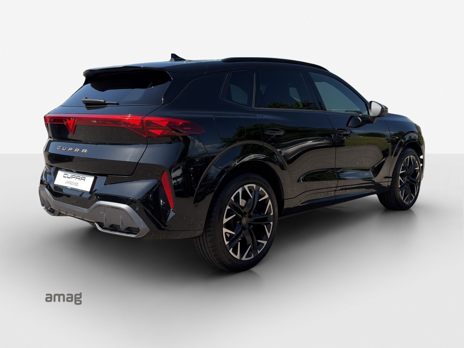 CUPRA TERRAMAR 4DRIVE, Benzina, Occasioni / Usate, Automatico - 5