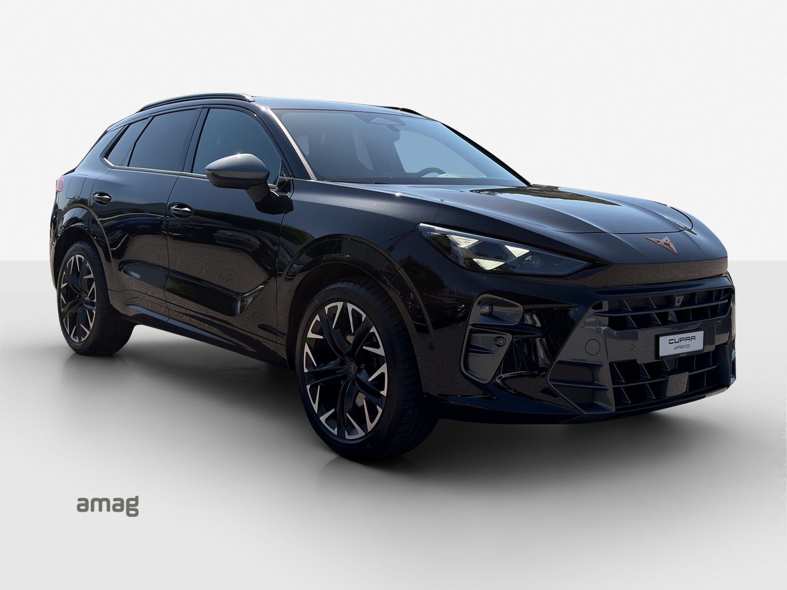 CUPRA TERRAMAR 4DRIVE, Benzina, Occasioni / Usate, Automatico - 6