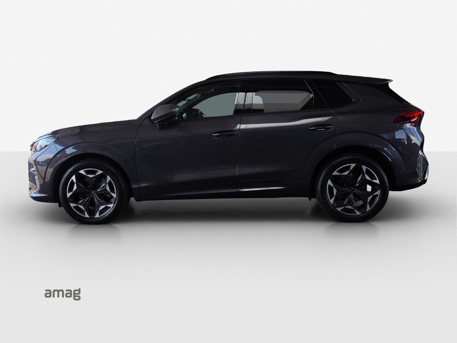 CUPRA TERRAMAR 4DRIVE, Benzin, Occasion / Gebraucht, Automatik - 2