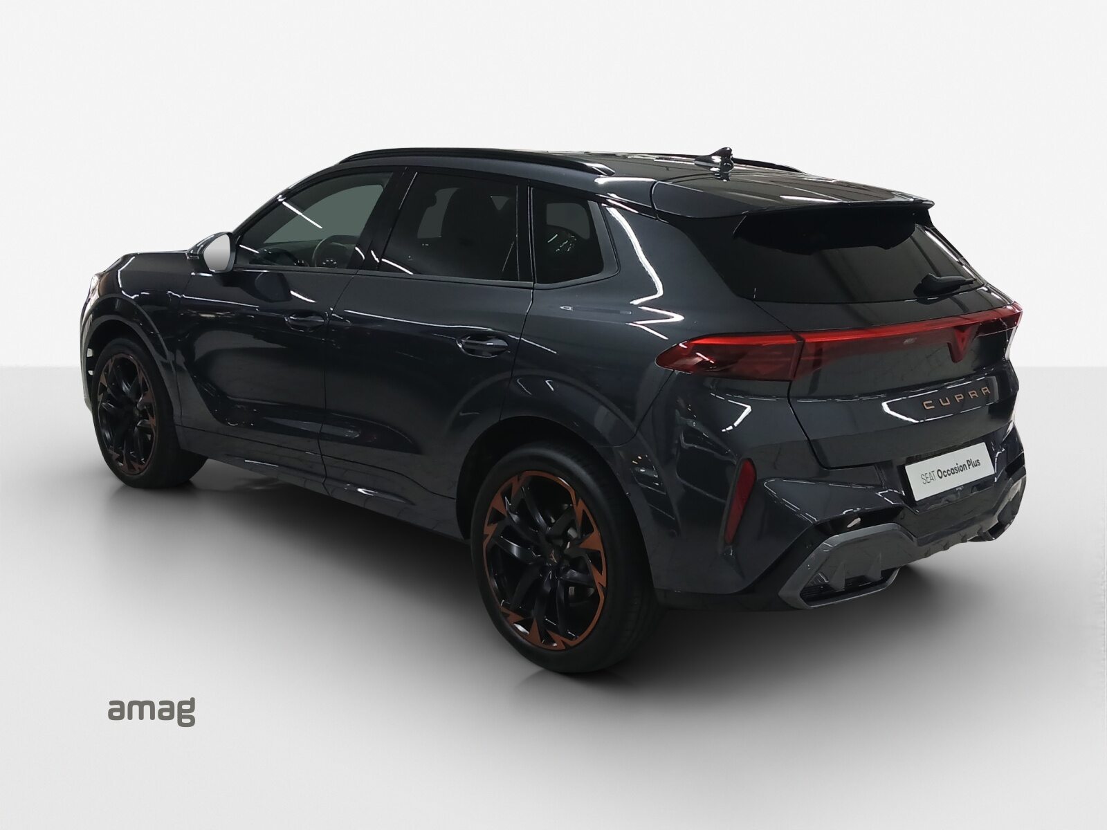 CUPRA TERRAMAR e-HYBRID, Hybride Integrale Benzina/Elettrica, Occasioni / Usate, Automatico - 3