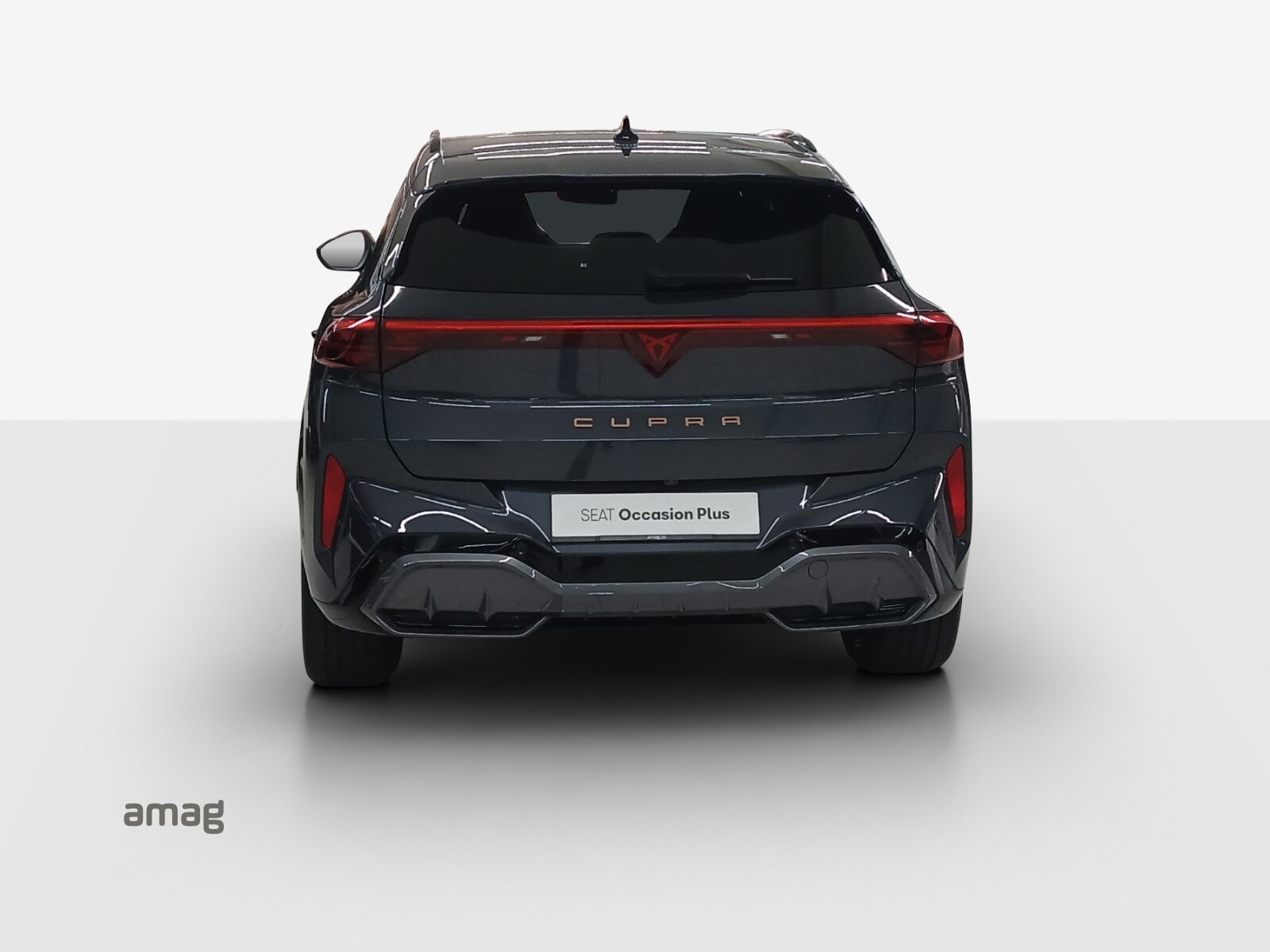 CUPRA TERRAMAR e-HYBRID, Hybride Integrale Benzina/Elettrica, Occasioni / Usate, Automatico - 4