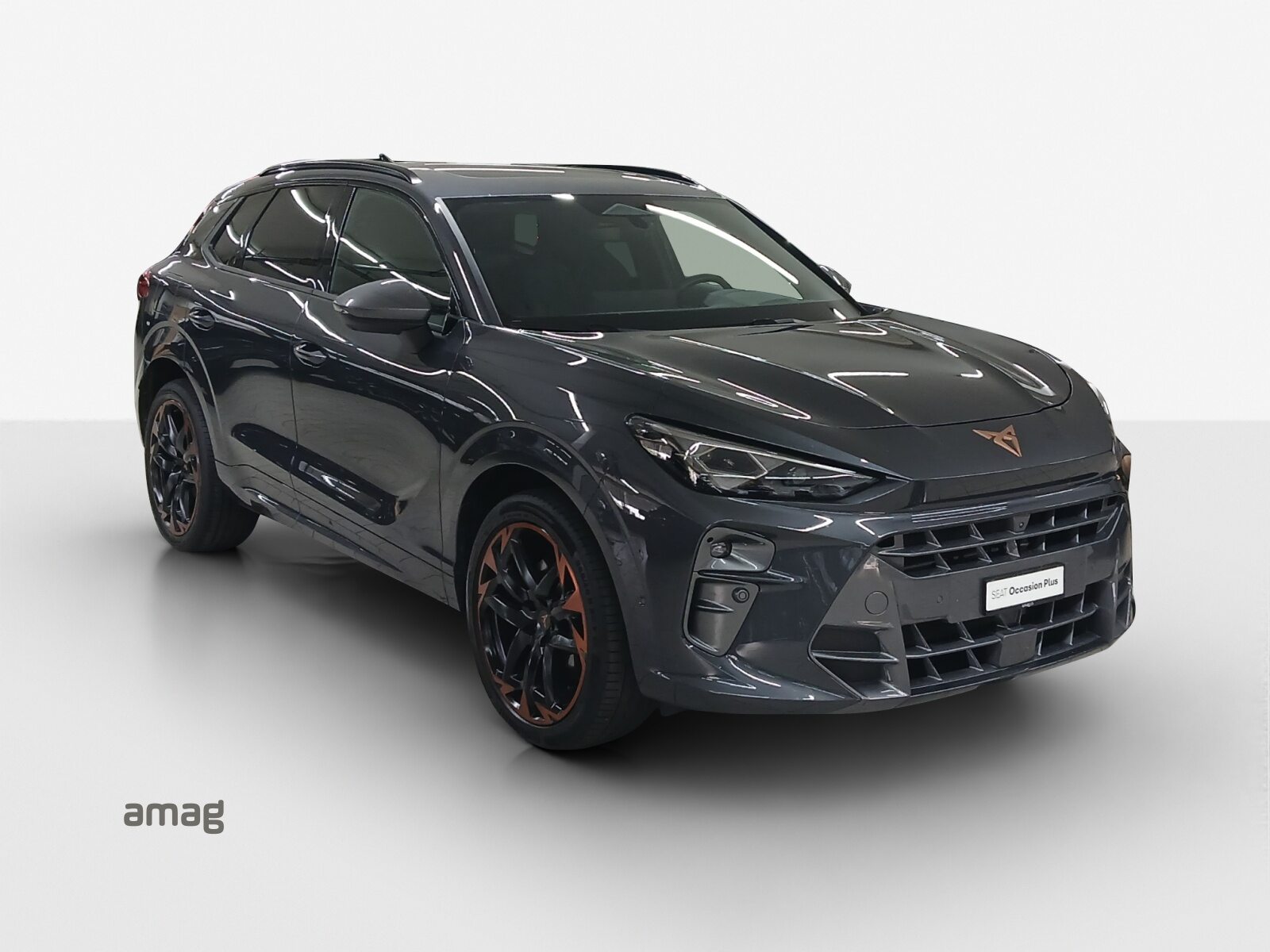 CUPRA TERRAMAR e-HYBRID, Hybride Integrale Benzina/Elettrica, Occasioni / Usate, Automatico - 6