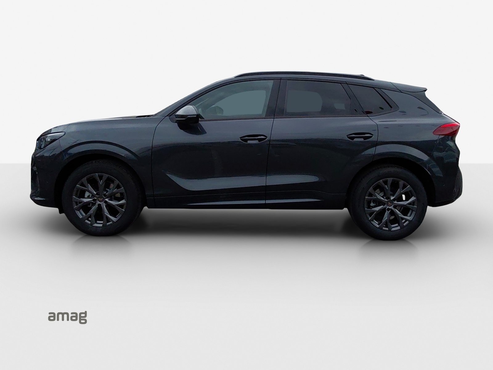 CUPRA TERRAMAR PRIME EDITION, Benzin, Occasion / Gebraucht, Automatik - 2
