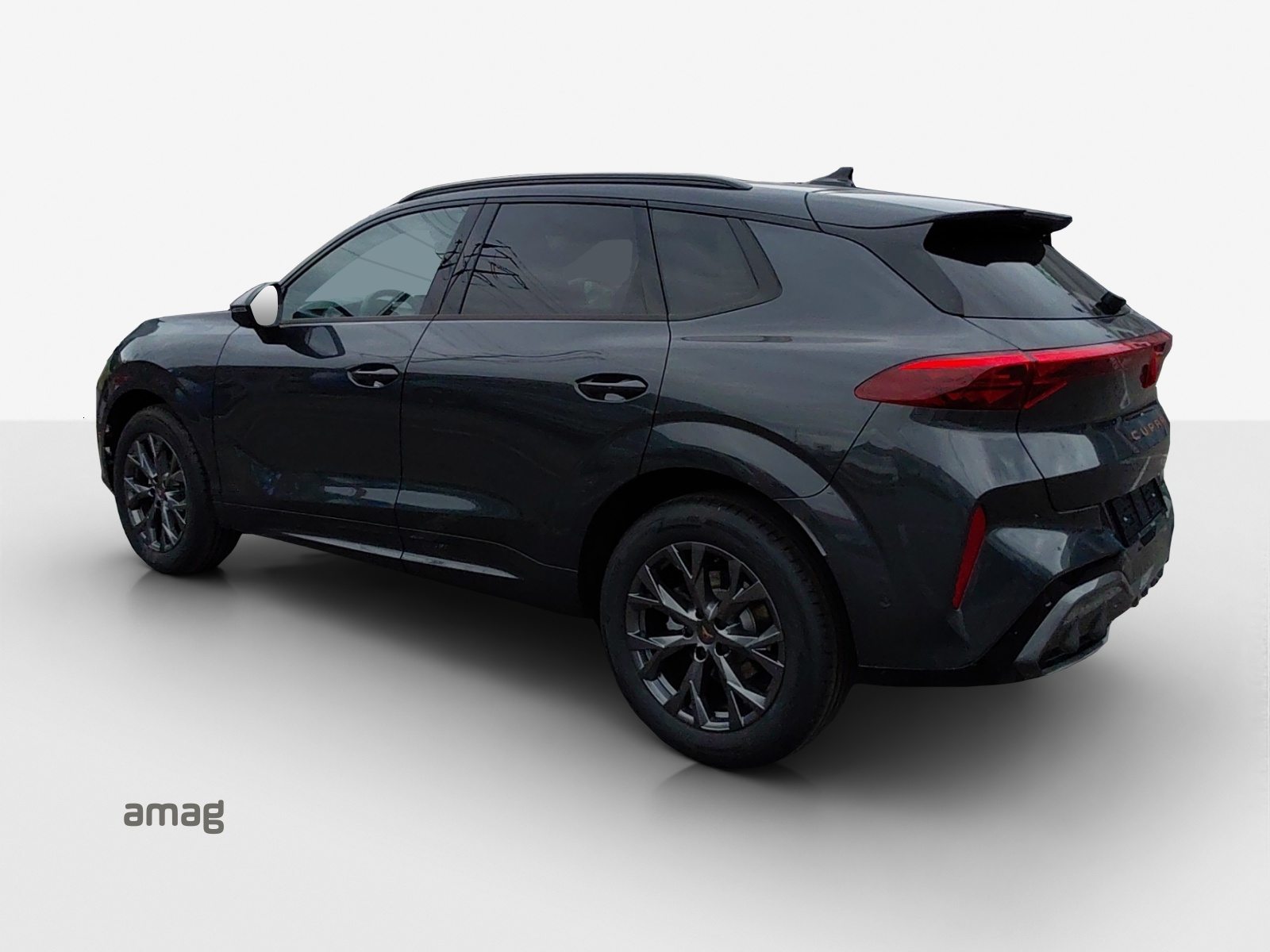 CUPRA TERRAMAR PRIME EDITION, Benzin, Occasion / Gebraucht, Automatik - 3