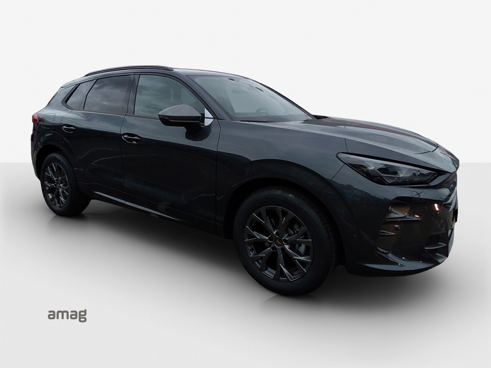 CUPRA TERRAMAR PRIME EDITION, Benzin, Occasion / Gebraucht, Automatik - 6