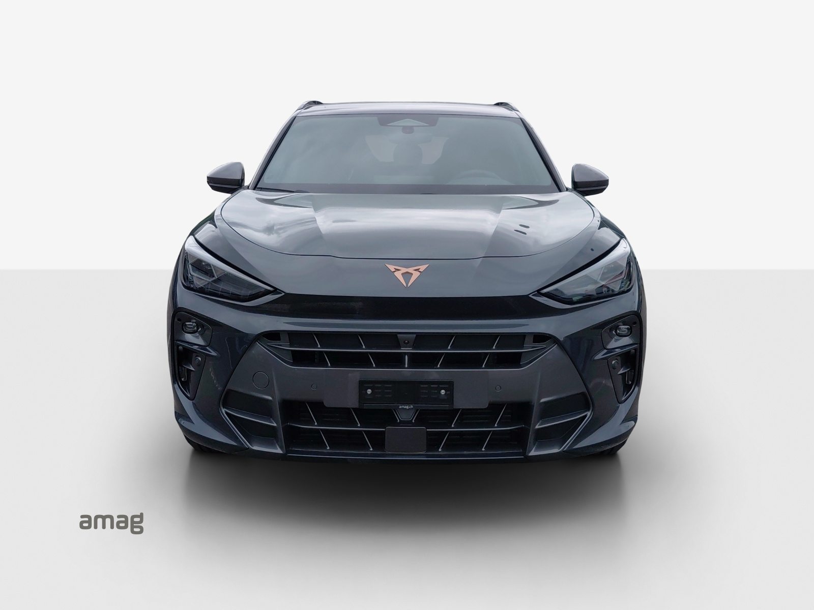 CUPRA TERRAMAR PRIME EDITION, Benzin, Occasion / Gebraucht, Automatik - 7
