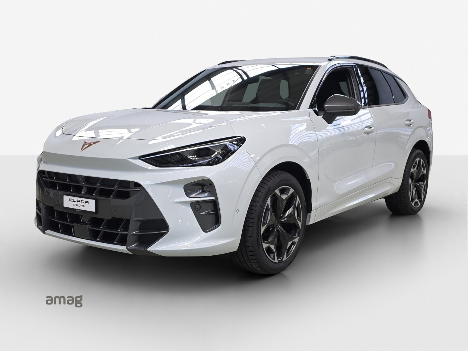 CUPRA TERRAMAR 4DRIVE