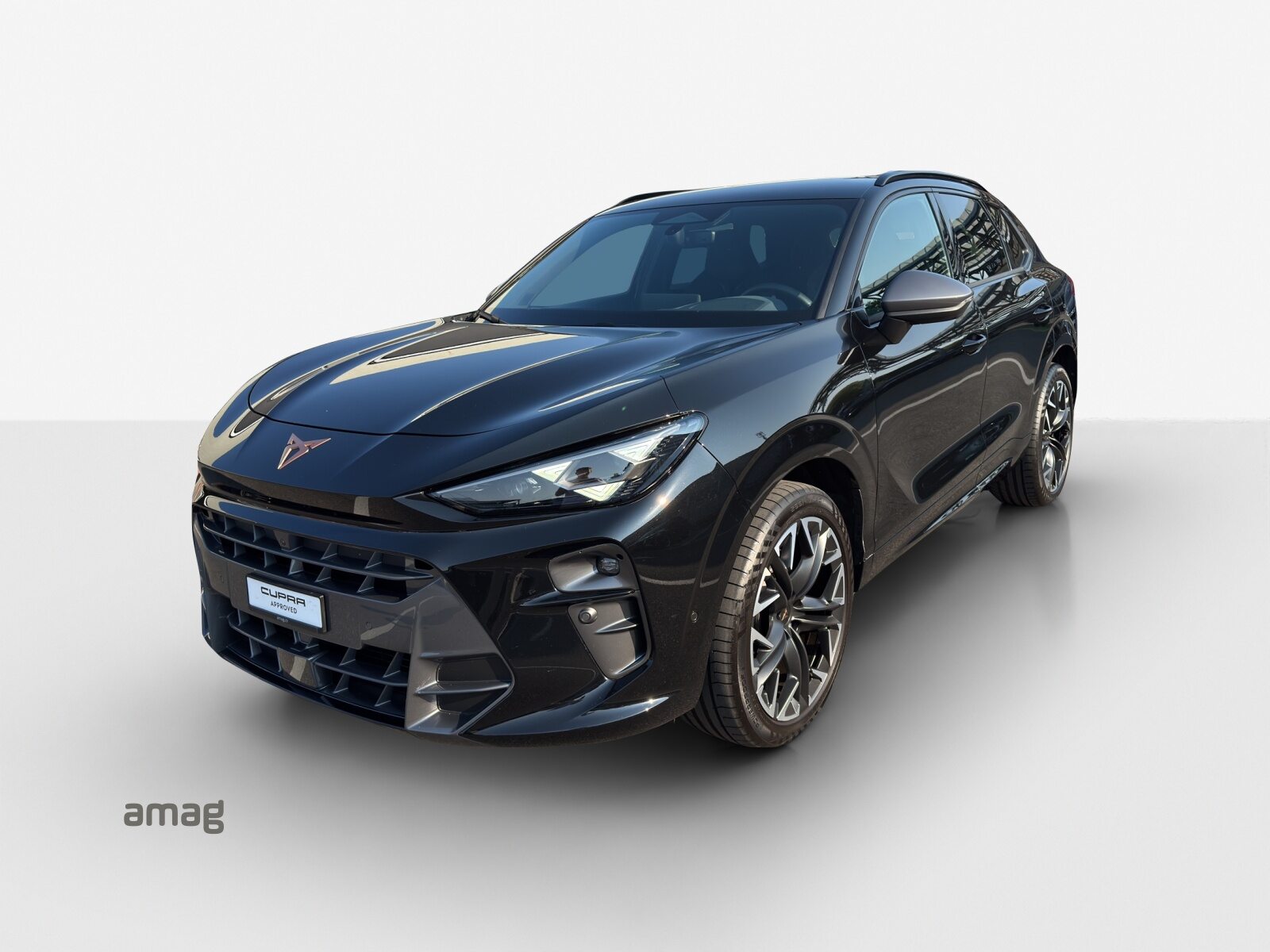 CUPRA TERRAMAR 4DRIVE