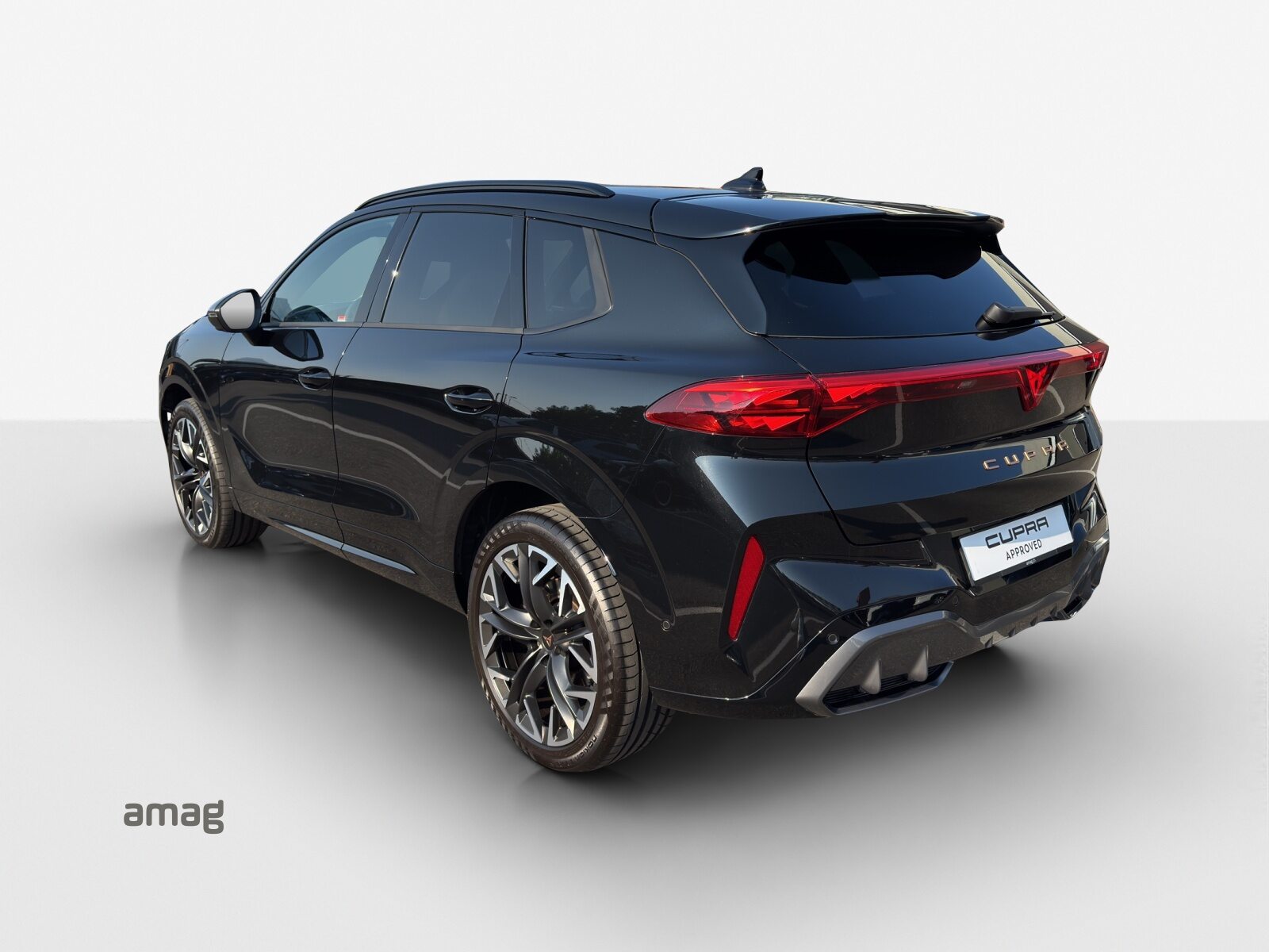 CUPRA TERRAMAR 4DRIVE, Benzina, Occasioni / Usate, Automatico - 3