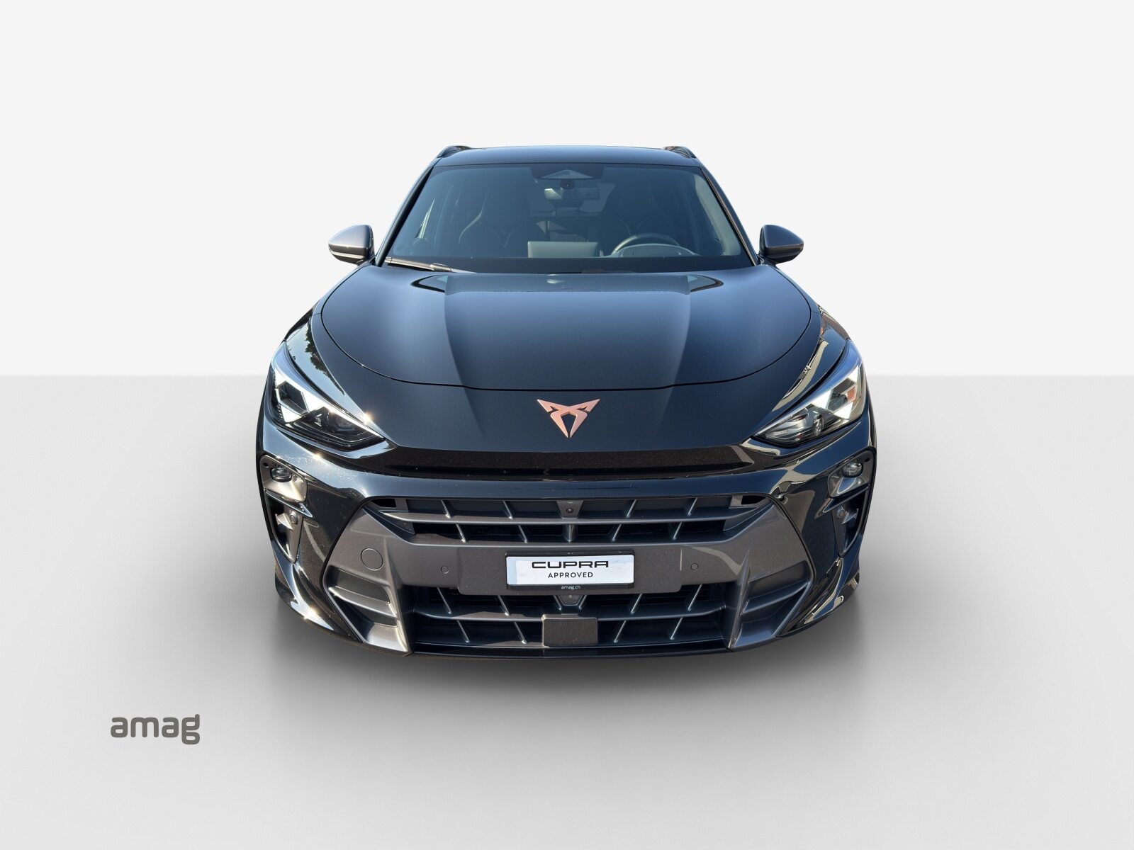 CUPRA TERRAMAR 4DRIVE, Benzina, Occasioni / Usate, Automatico - 7