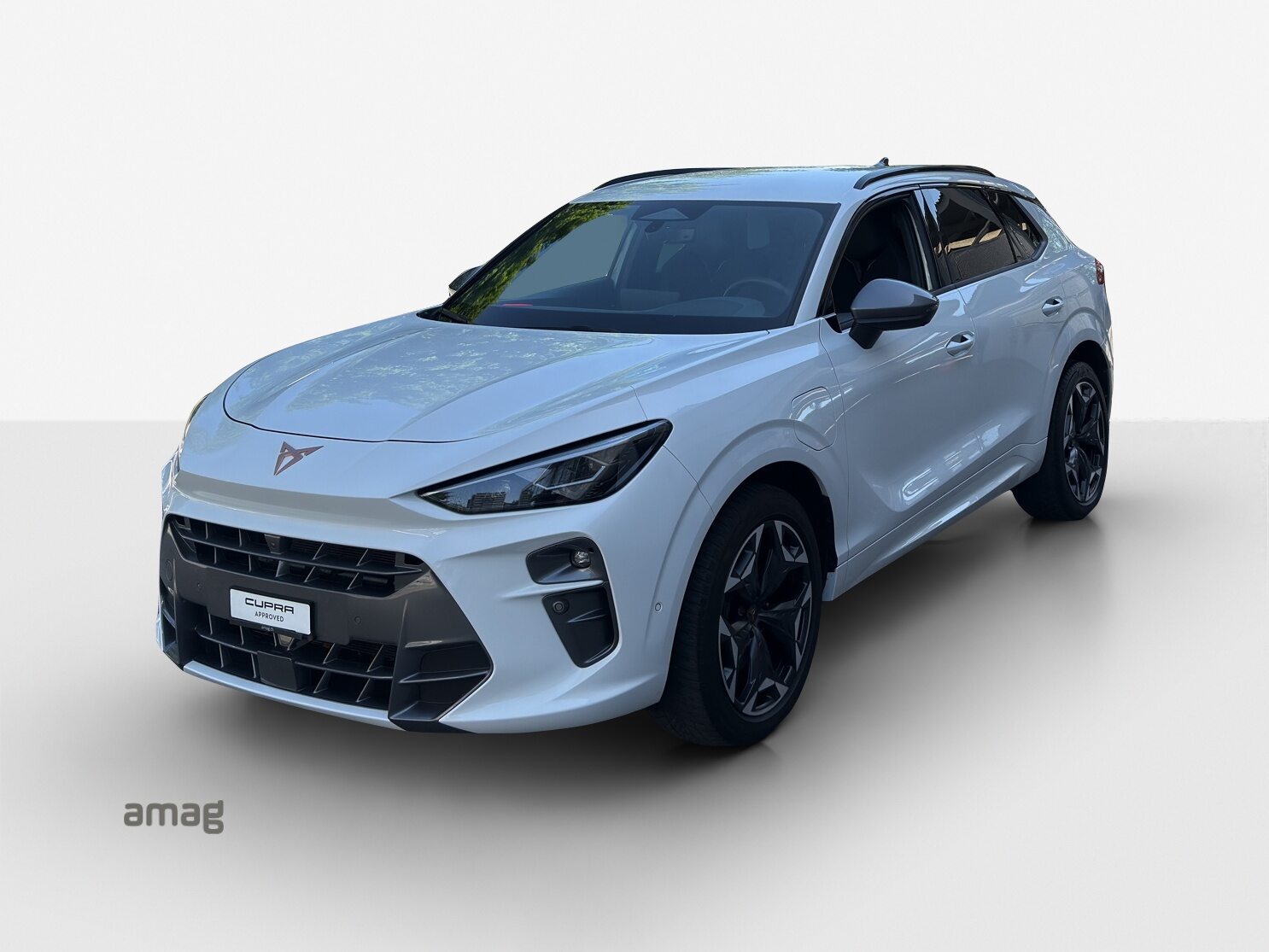 CUPRA TERRAMAR e-HYBRID
