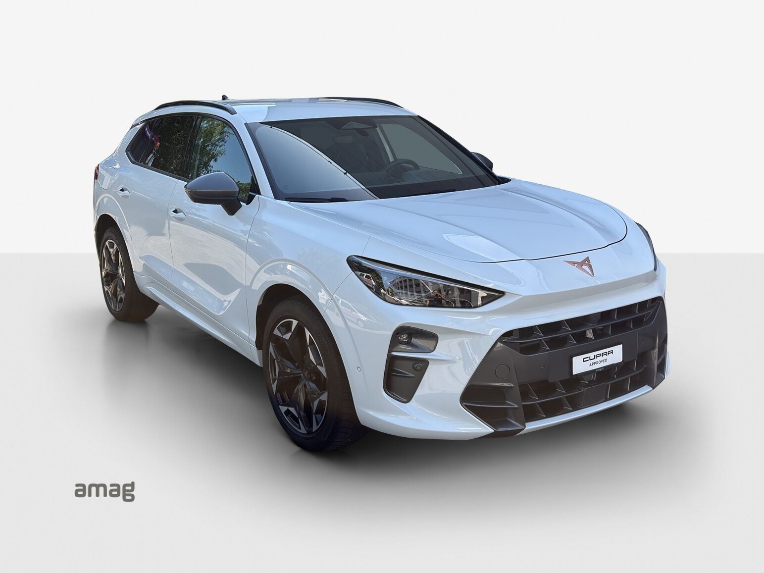 CUPRA TERRAMAR e-HYBRID, Voll-Hybrid Benzin/Elektro, Occasion / Gebraucht, Automatik - 7
