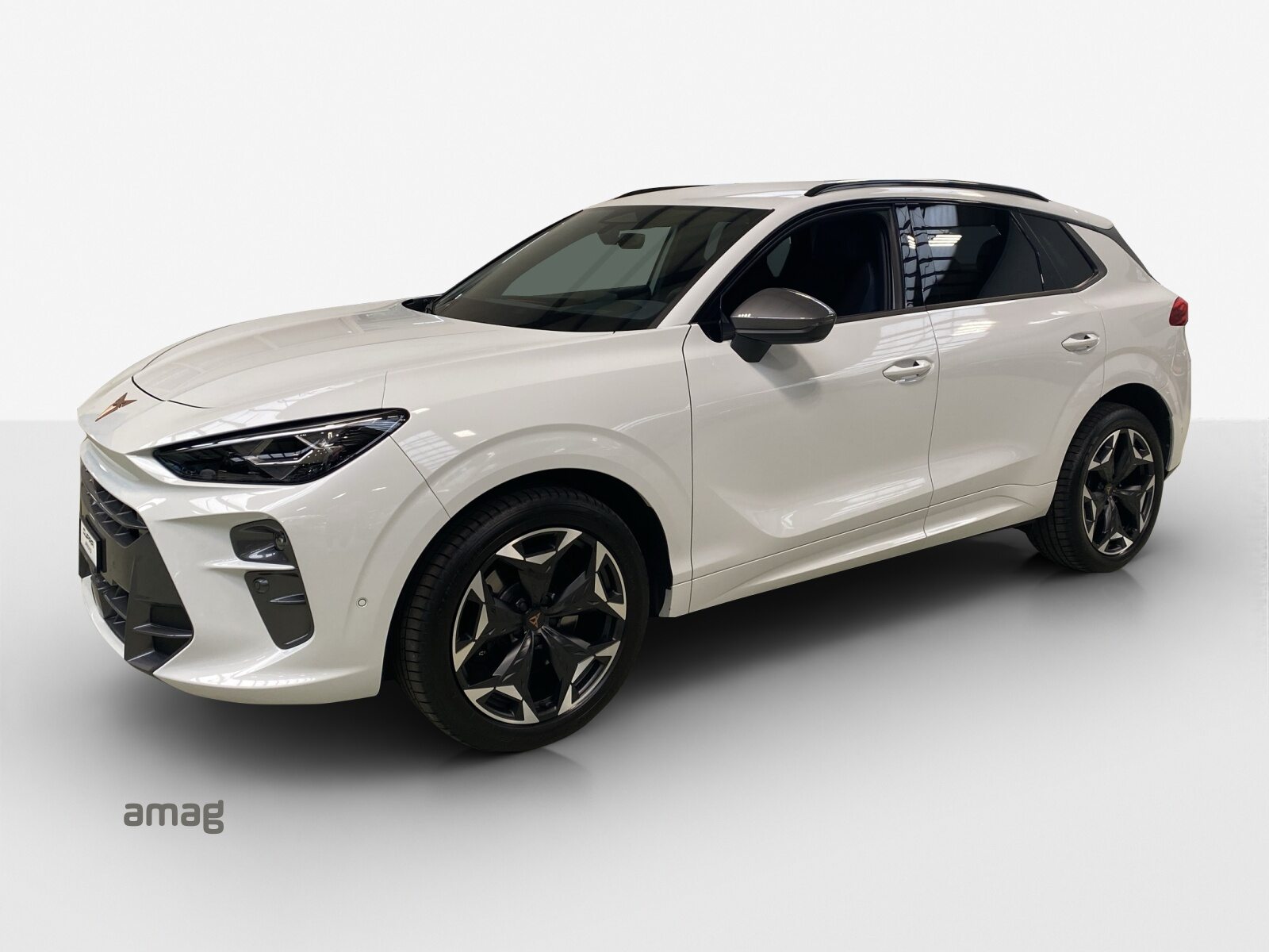 CUPRA TERRAMAR 4DRIVE