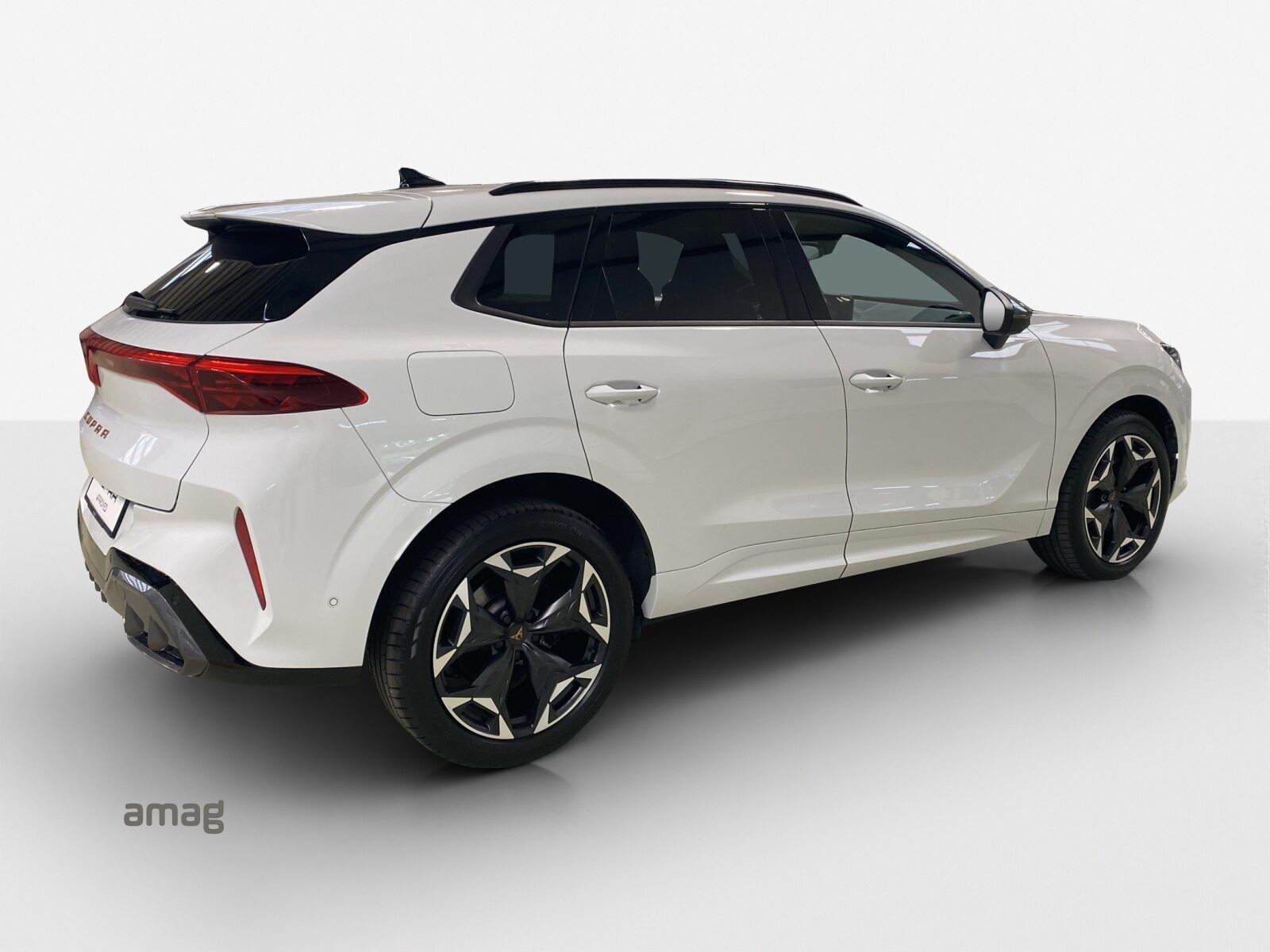 CUPRA TERRAMAR 4DRIVE, Petrol, Second hand / Used, Automatic - 5