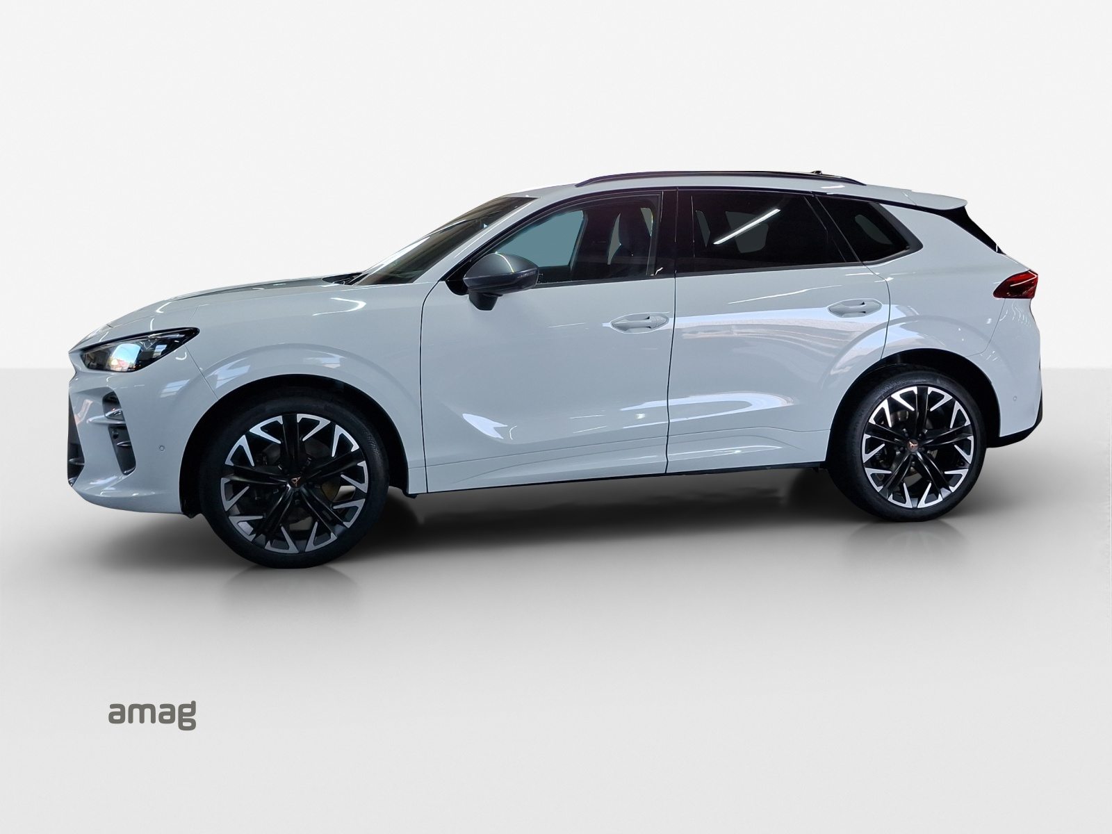 CUPRA TERRAMAR 4DRIVE, Benzina, Occasioni / Usate, Automatico - 2