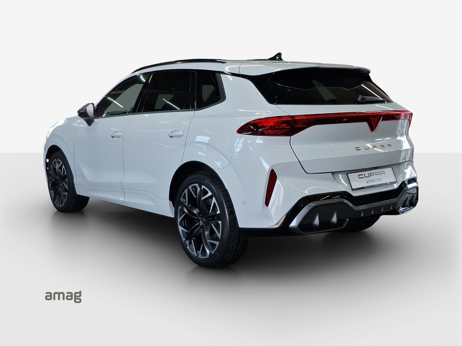 CUPRA TERRAMAR 4DRIVE, Benzina, Occasioni / Usate, Automatico - 3