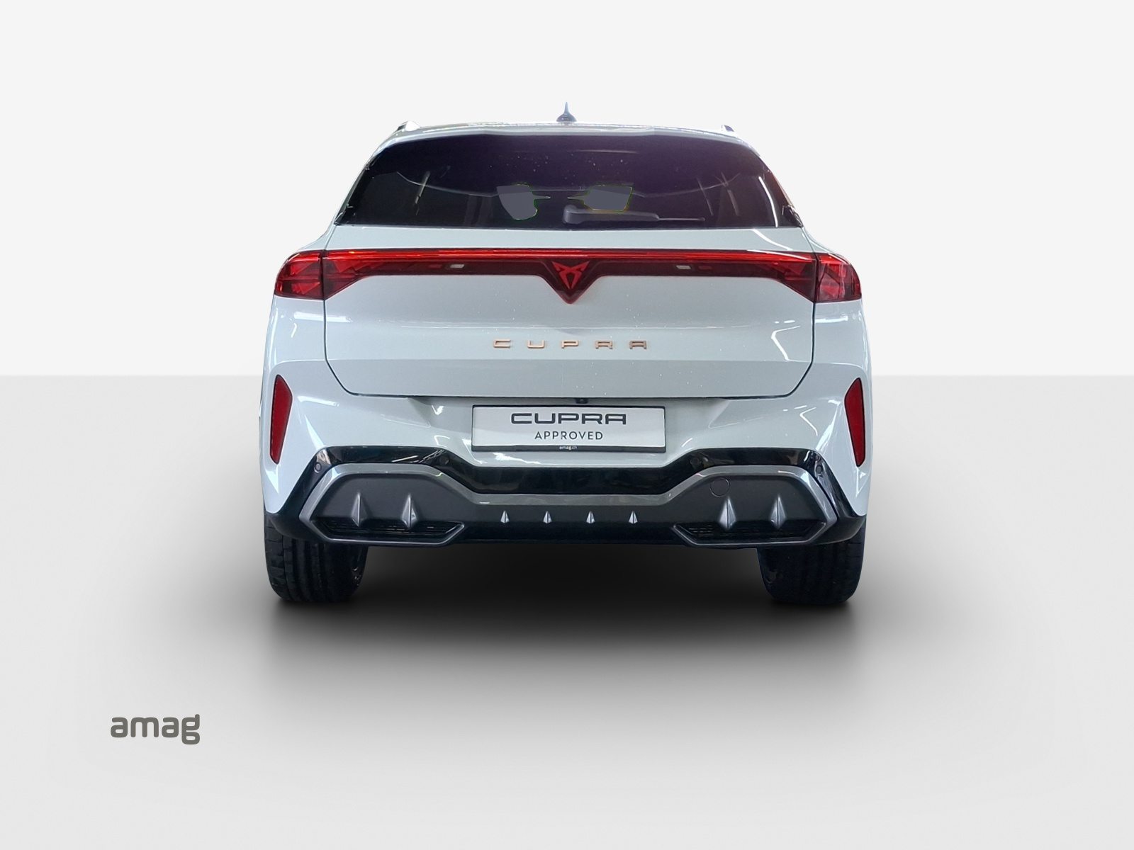 CUPRA TERRAMAR 4DRIVE, Benzina, Occasioni / Usate, Automatico - 4