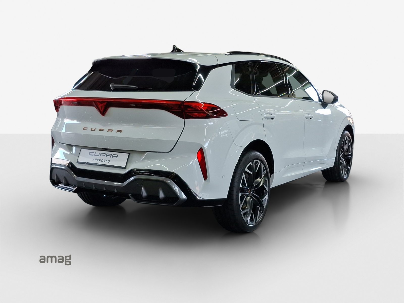 CUPRA TERRAMAR 4DRIVE, Benzina, Occasioni / Usate, Automatico - 5