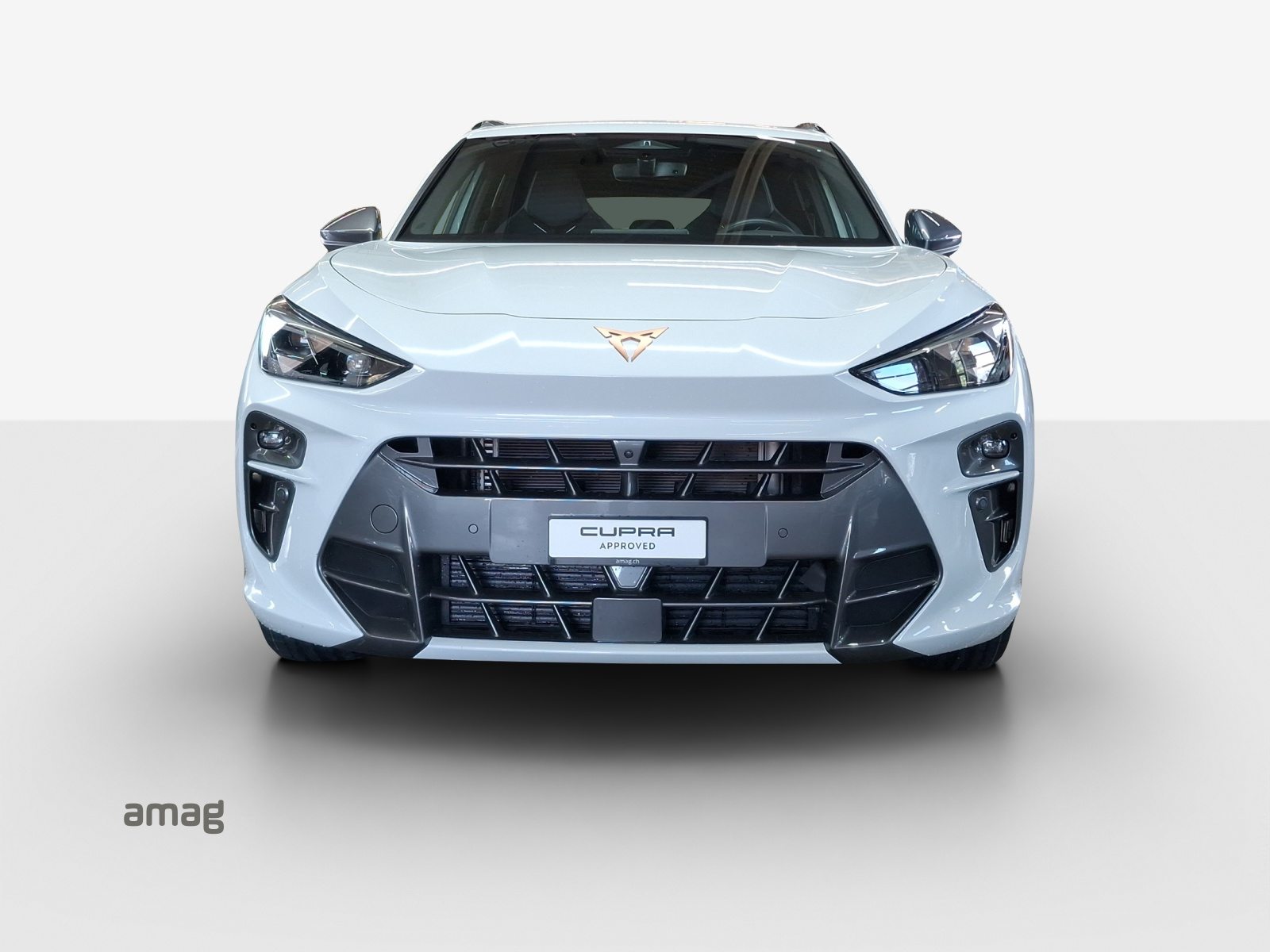 CUPRA TERRAMAR 4DRIVE, Benzina, Occasioni / Usate, Automatico - 7