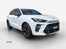 CUPRA TERRAMAR 4DRIVE, Benzina, Occasioni / Usate, Automatico - 6