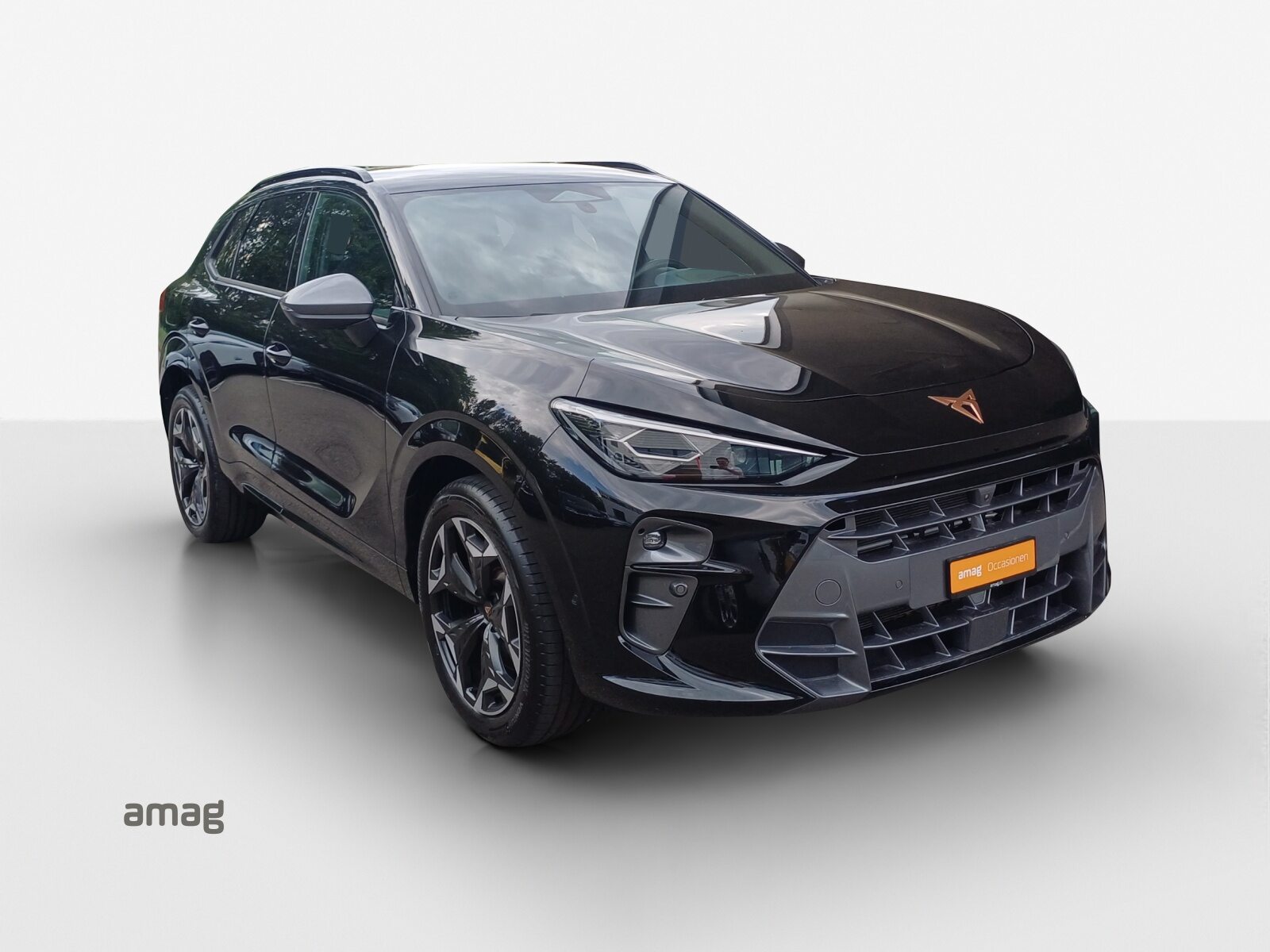 CUPRA TERRAMAR e-HYBRID, Hybride Integrale Benzina/Elettrica, Occasioni / Usate, Automatico - 6