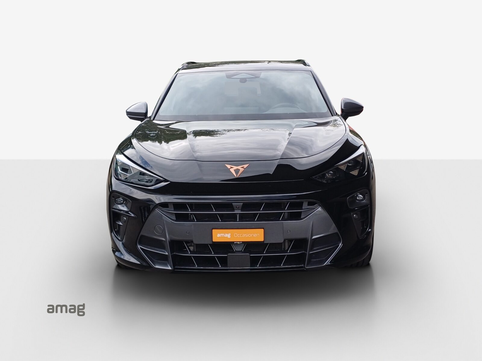 CUPRA TERRAMAR e-HYBRID, Hybride Integrale Benzina/Elettrica, Occasioni / Usate, Automatico - 7