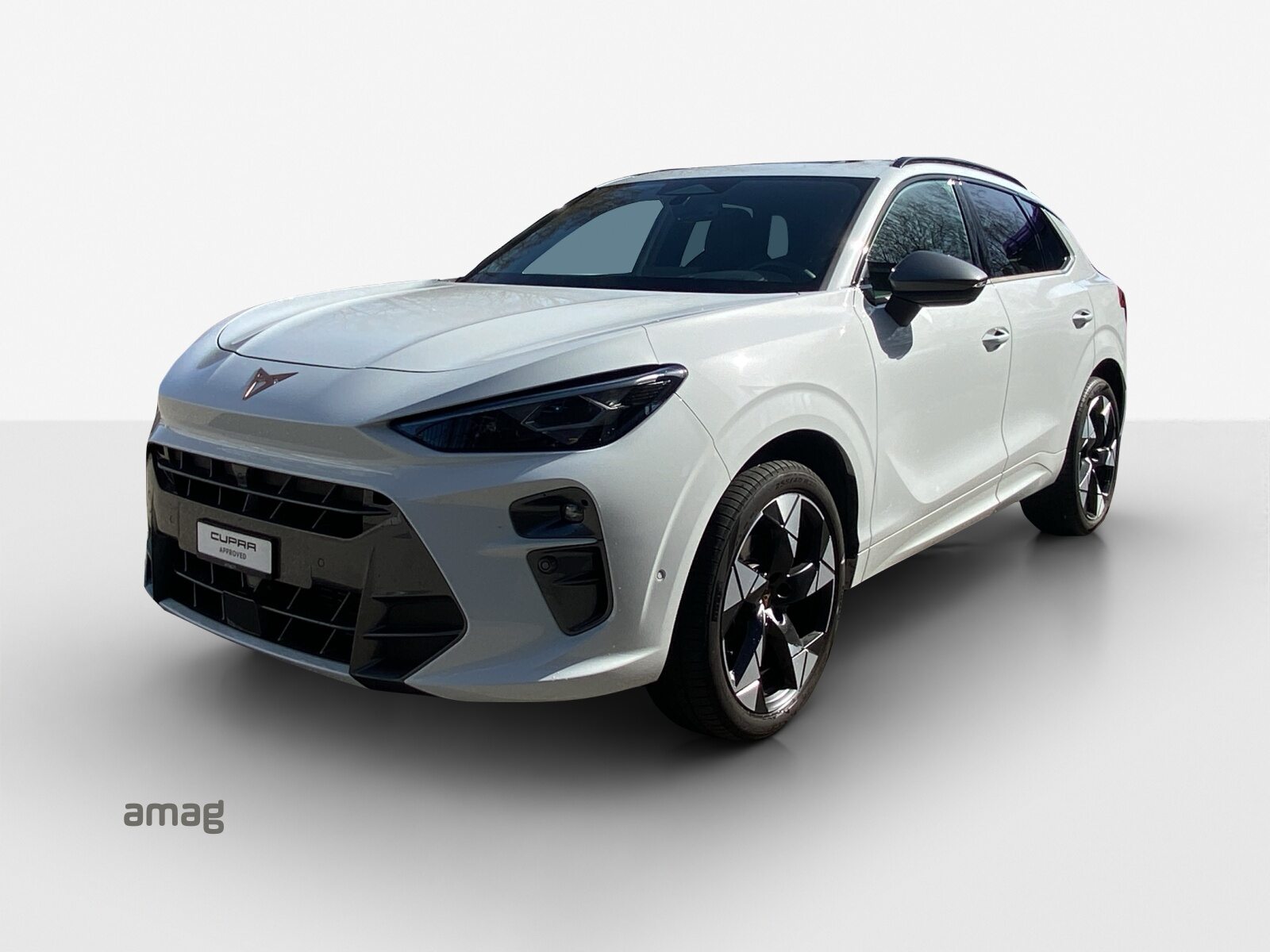 CUPRA TERRAMAR