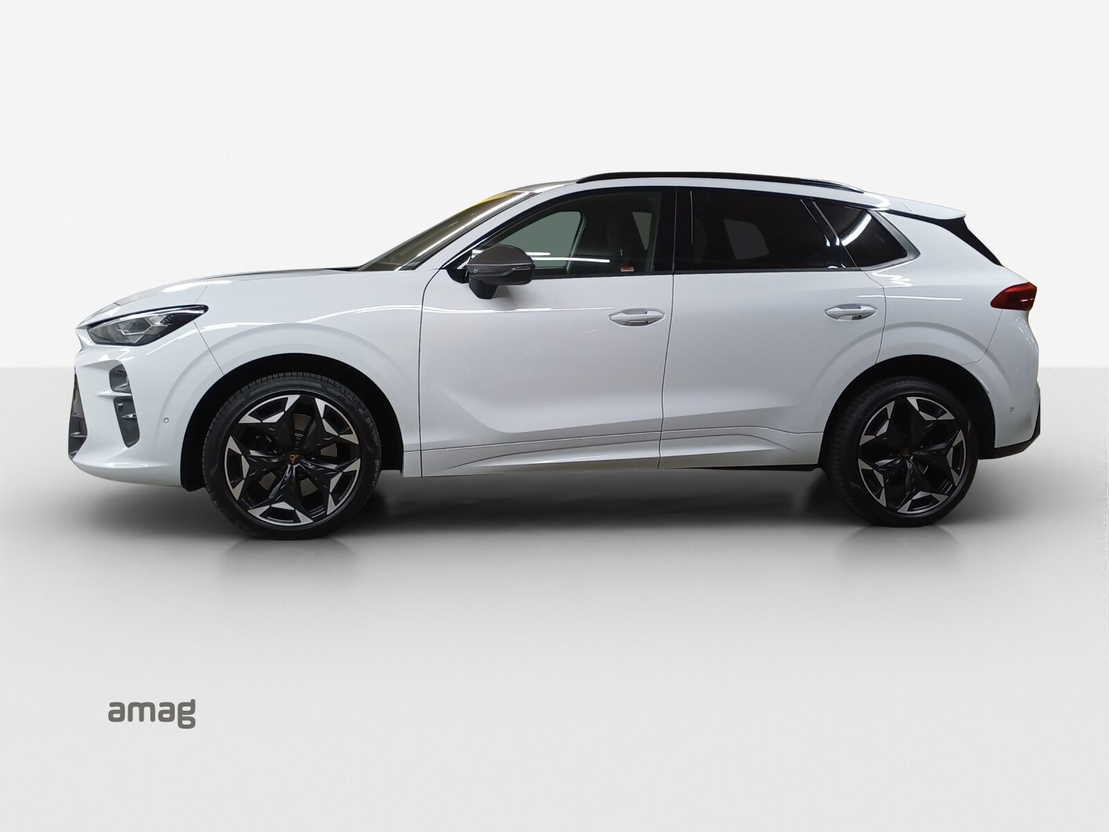 CUPRA TERRAMAR 4DRIVE, Petrol, Second hand / Used, Automatic - 2
