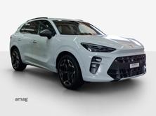 CUPRA TERRAMAR 4DRIVE, Benzina, Occasioni / Usate, Automatico - 6