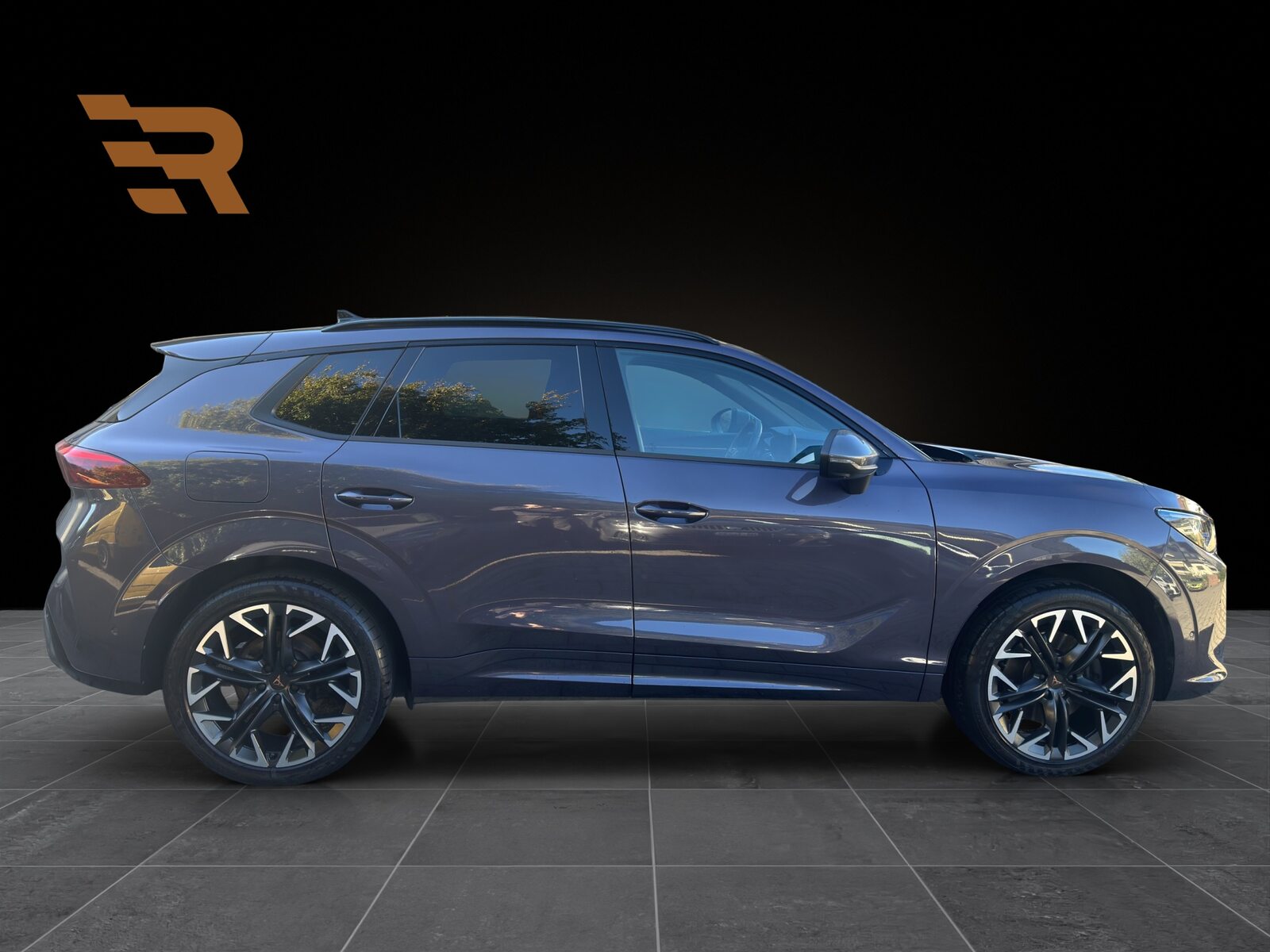 CUPRA TERRAMAR 4DRIVE, Benzina, Occasioni / Usate, Automatico - 6