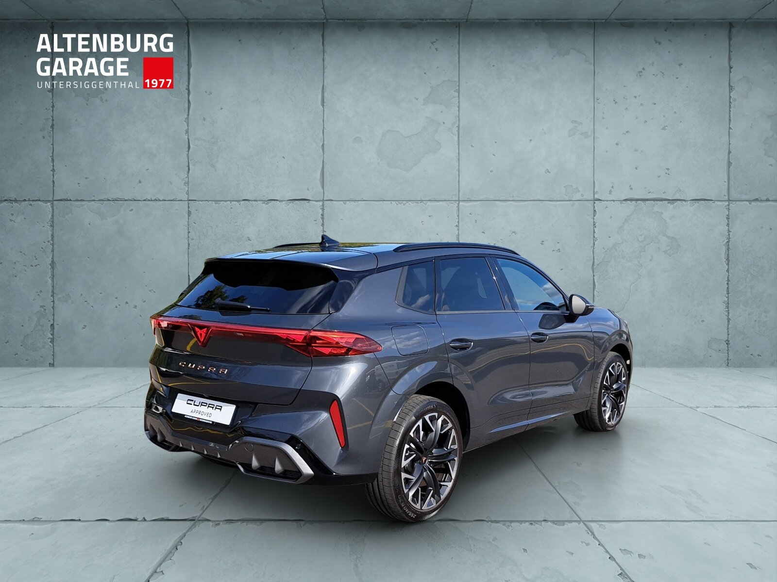 CUPRA Terramar 2.0 TSI VZ 4Drive DSG, Benzin, Occasion / Gebraucht, Automatik - 5