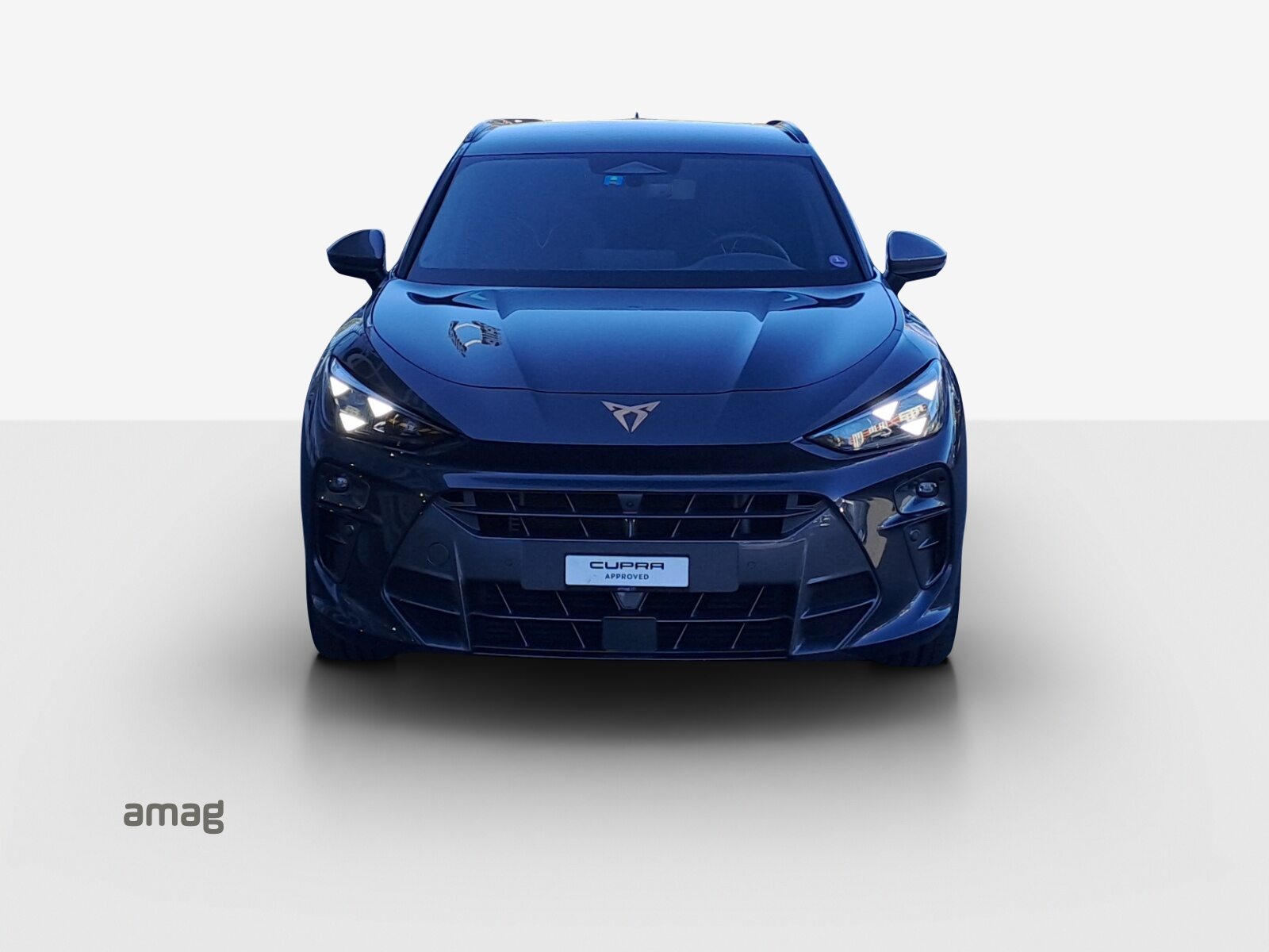 CUPRA TERRAMAR 4DRIVE, Benzin, Occasion / Gebraucht, Automatik - 7