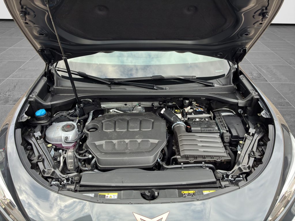 CUPRA TERRAMAR 2.0 TSI VZ 4Drive DSG, Essence, Occasion / Utilisé, Automatique - 5