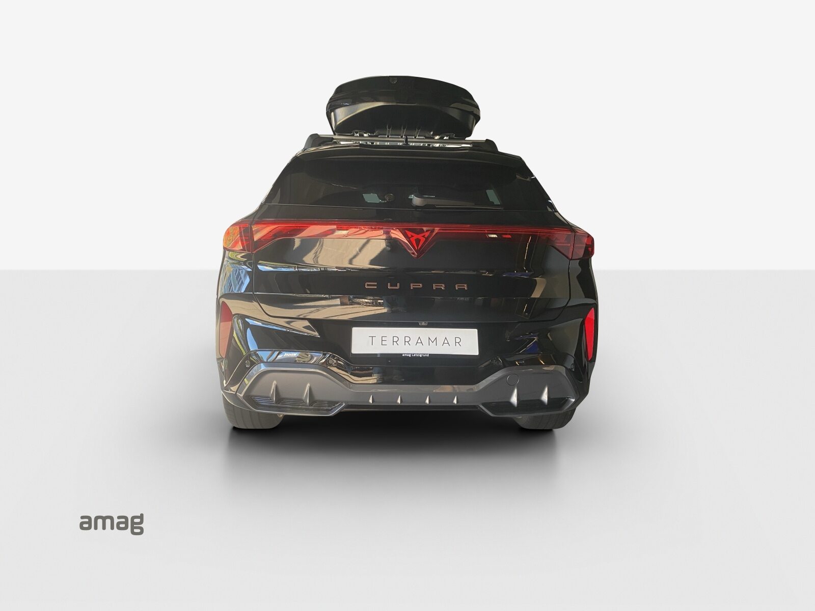 CUPRA TERRAMAR VZ 4DRIVE PRIME EDITION, Petrol, Ex-demonstrator, Automatic - 4
