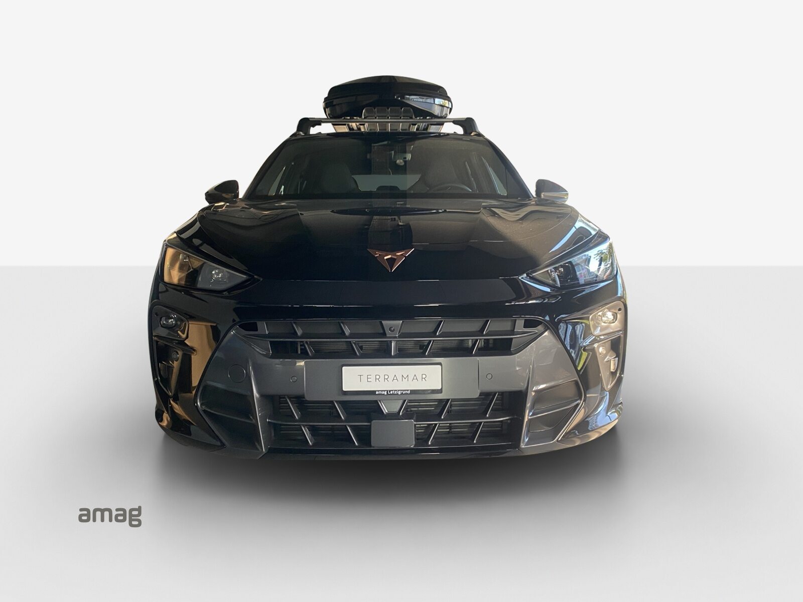 CUPRA TERRAMAR VZ 4DRIVE PRIME EDITION, Petrol, Ex-demonstrator, Automatic - 7