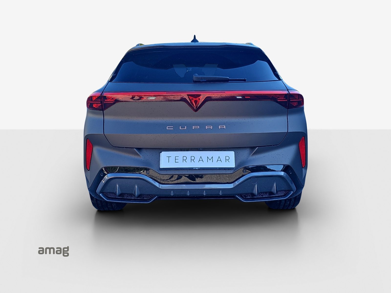 CUPRA TERRAMAR VZ e-HYBRID, Hybride Intégral Essence/Électricité, Voiture de démonstration, Automatique - 4