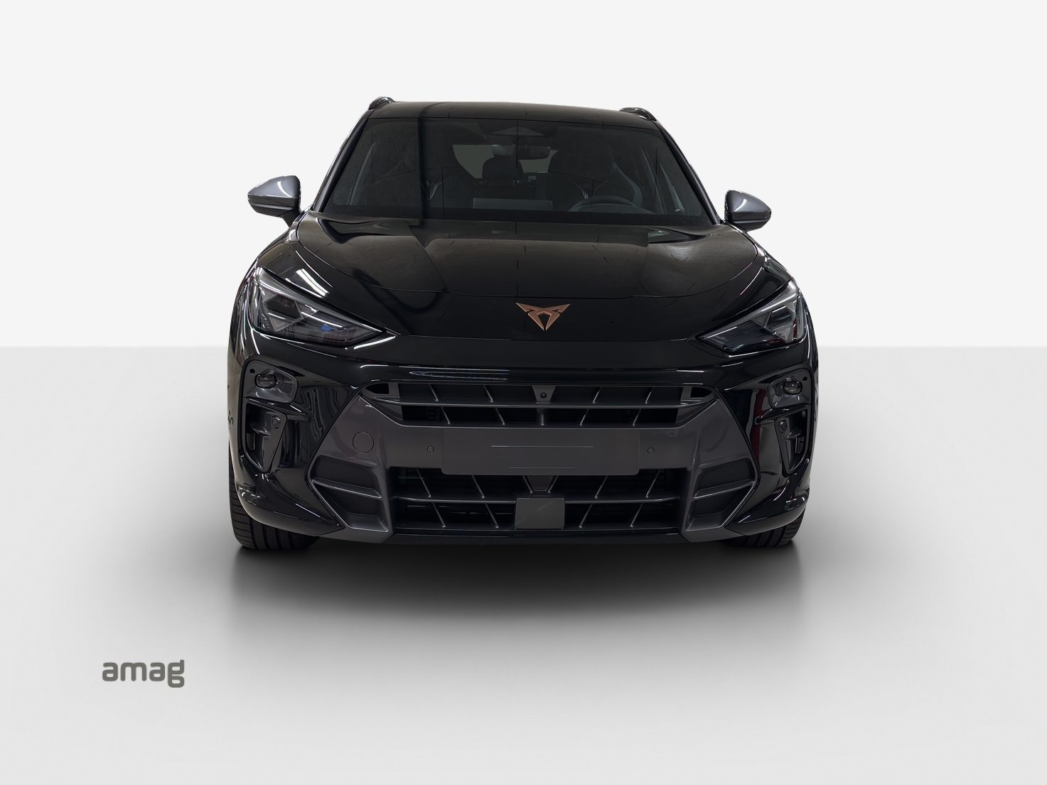CUPRA TERRAMAR 4DRIVE, Benzin, Vorführwagen, Automatik - 7