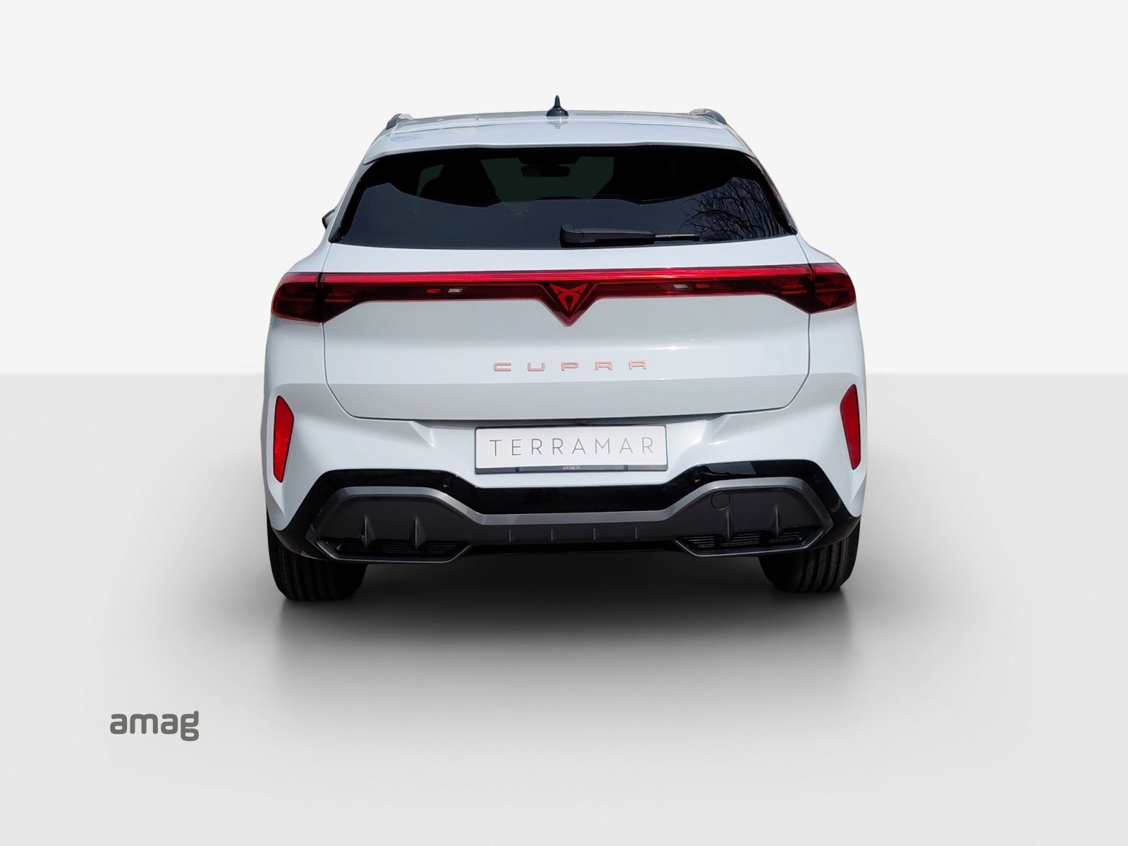 CUPRA TERRAMAR e-HYBRID, Voll-Hybrid Benzin/Elektro, Vorführwagen, Automatik - 4