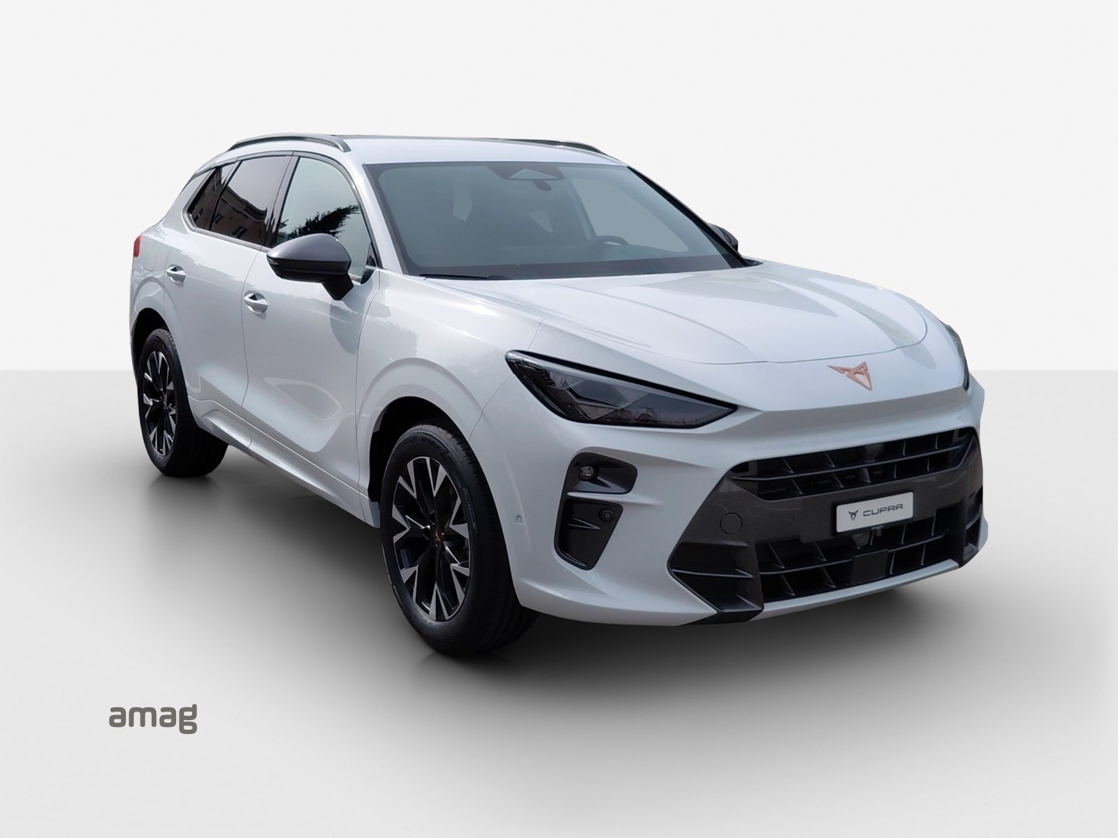 CUPRA TERRAMAR e-HYBRID, Voll-Hybrid Benzin/Elektro, Vorführwagen, Automatik - 6