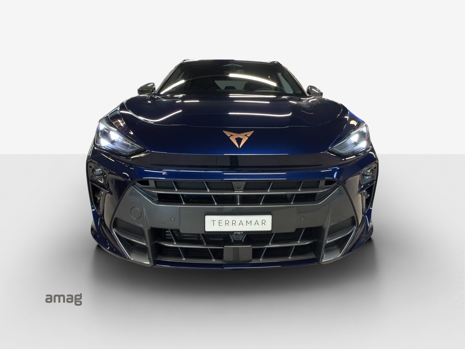 CUPRA TERRAMAR 4DRIVE, Benzina, Auto nuove, Automatico - 4