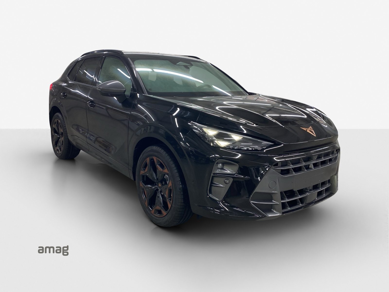 CUPRA TERRAMAR, Benzin, Neuwagen, Automat - 6