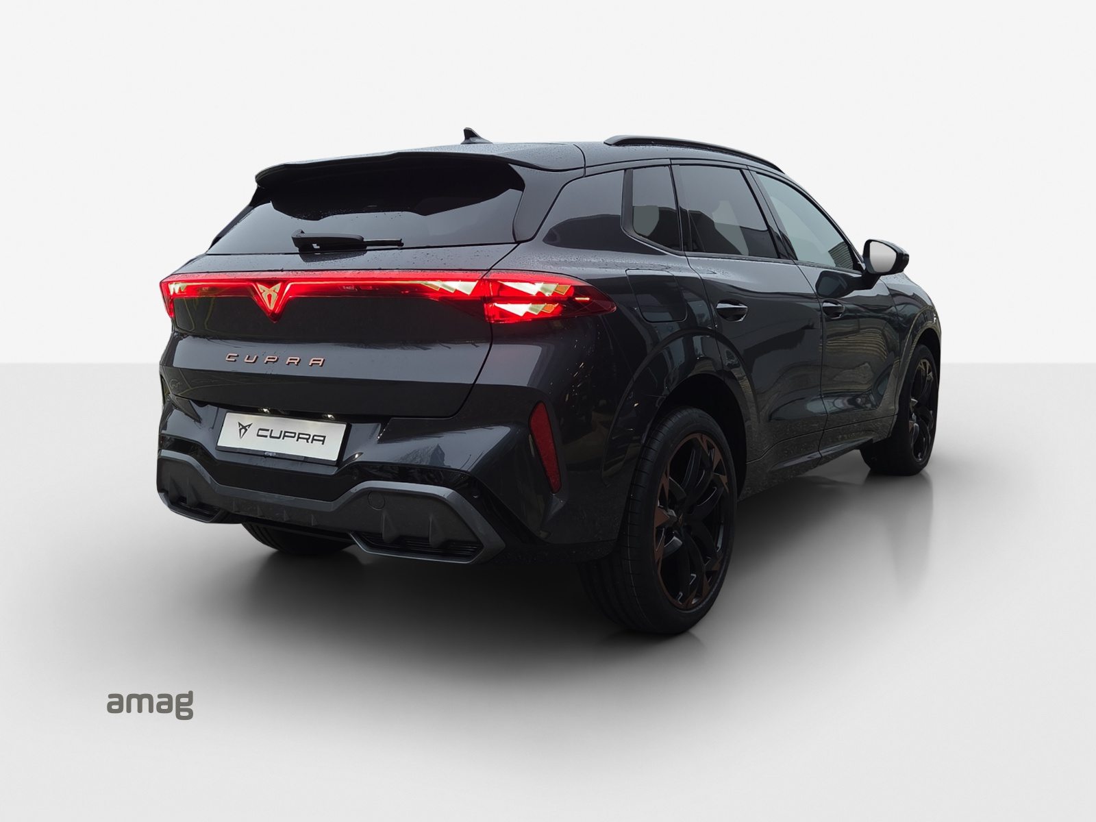 CUPRA TERRAMAR VZ 4DRIVE, Benzin, Neuwagen, Automat - 5